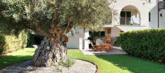 3-Zimmer Wohnung in Taggia, Italy, Nr. 127597 7