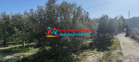 Дом с 1 спальней в Финес, Испания № 286086 27