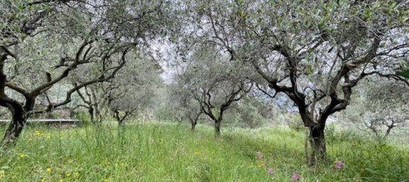 16 bedrooms House in Ventimiglia, Italy No. 348285 17