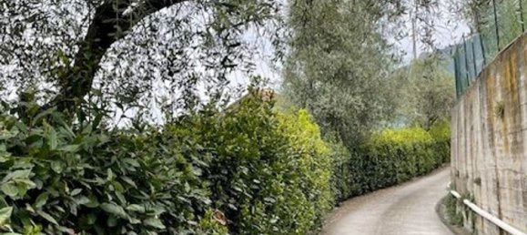 16 bedrooms House in Ventimiglia, Italy No. 348285 14