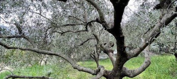 16 bedrooms House in Ventimiglia, Italy No. 348285 18