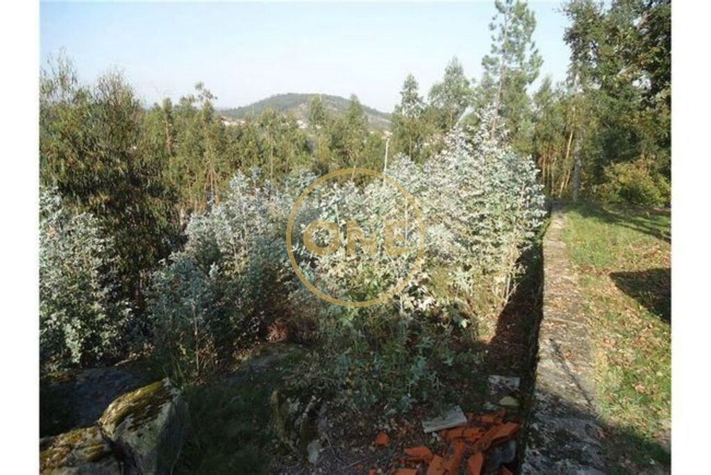  قطعة أرض في Vila Nova de Famalicao, Portugal 15000متر مربع رقم 34937