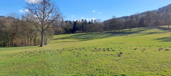 100000m² Land in Purgstall an der Erlauf, Austria No. 87458 3