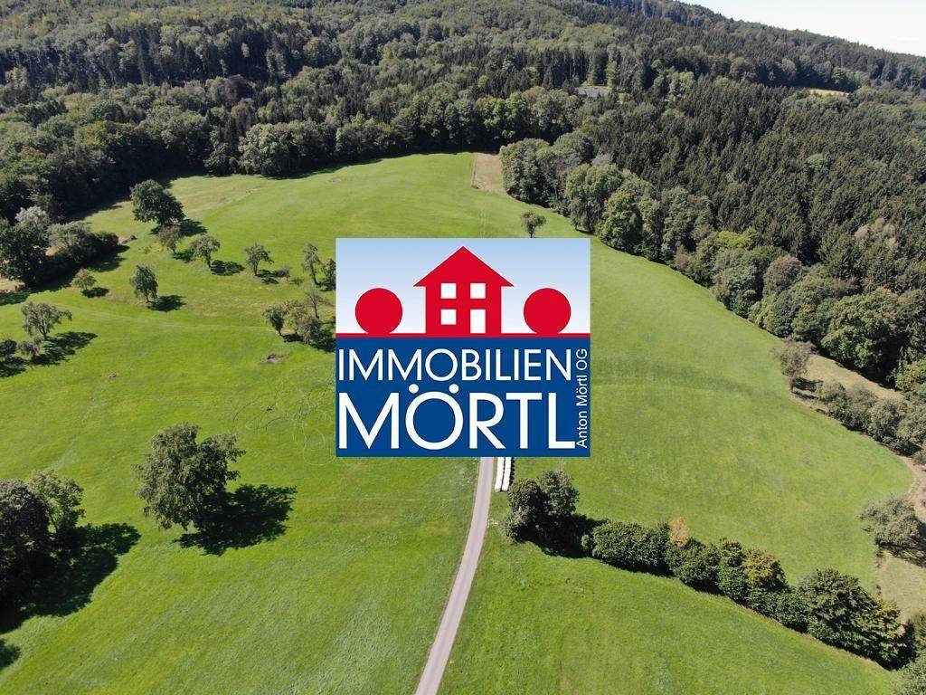 100000m² Land in Purgstall an der Erlauf, Austria No. 87458