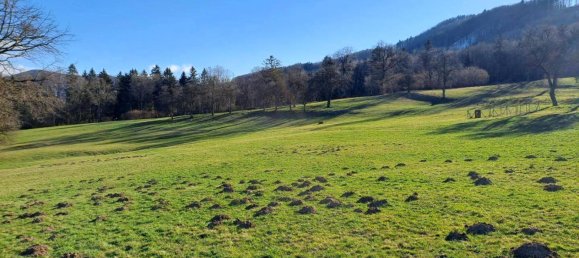 100000m² Land in Purgstall an der Erlauf, Austria No. 87458 5