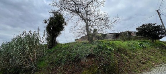 4 غرف نوم منزل في Fanzeres, Portugal رقم 165560 7