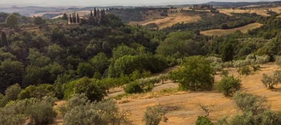 4 bedrooms Villa in Montalcino, Italy No. 330125 3