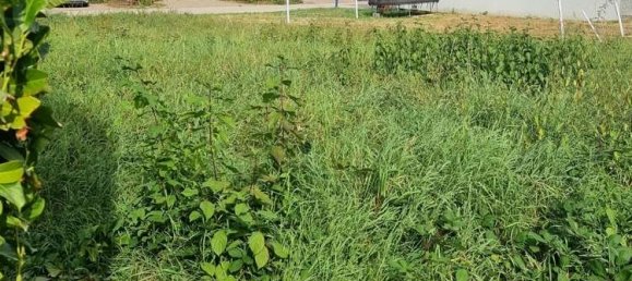 Terreno em Rhein-Neckar-Kreis, Germany N.º 26281 3