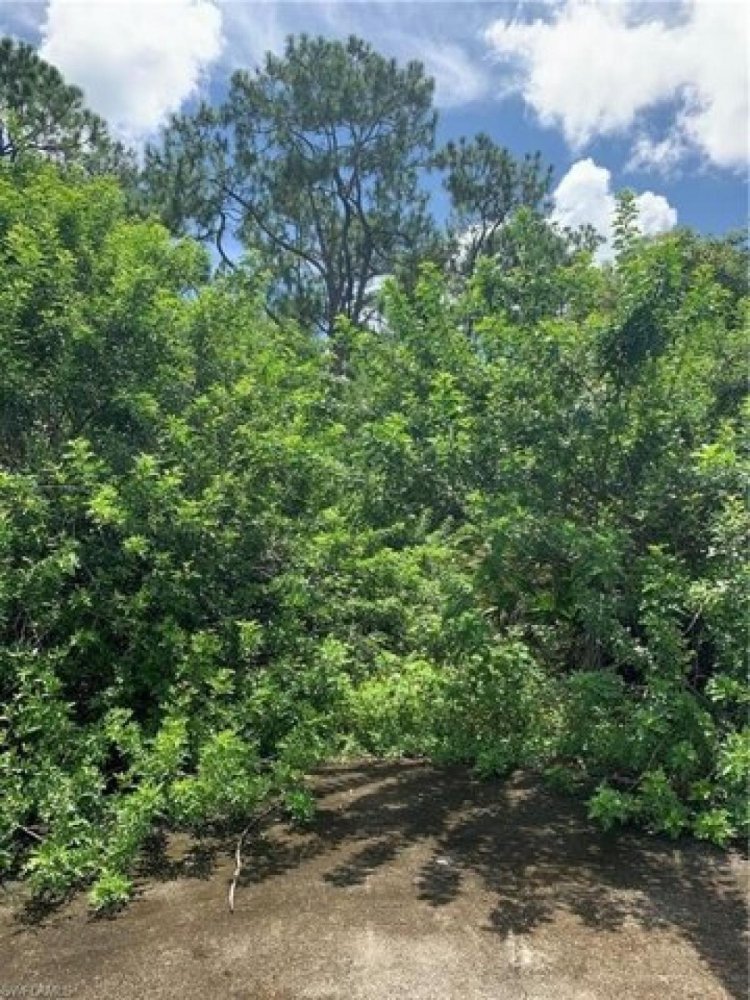  قطعة أرض في Naples, USA رقم 477249