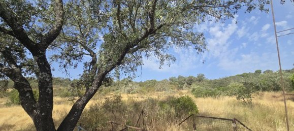 Дом с 5 спальнями в Андалусия, Испания № 155849 5