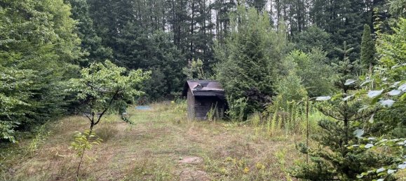 11361m² Land in Barnim, Germany No. 328412 3