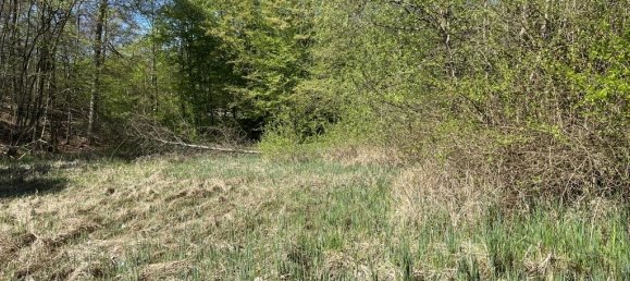 11361m² Land in Barnim, Germany No. 328412 2