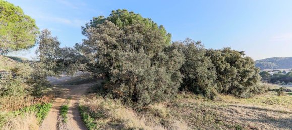 4791m² Land in Bigues i Riells, Spain No. 159540 7