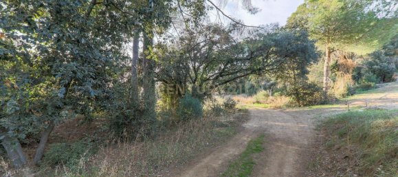 4791m² Land in Bigues i Riells, Spain No. 159540 5