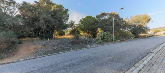 4791m² Land in Bigues i Riells, Spain No. 159540 11