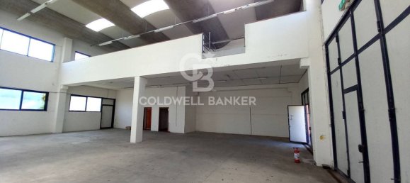 مستودع في Orbetello, Italy 398متر مربع رقم 84197 4