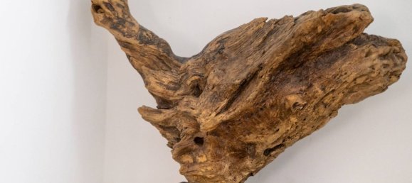 5 rooms Apartment in Tarquinia, Italy No. 270672 13