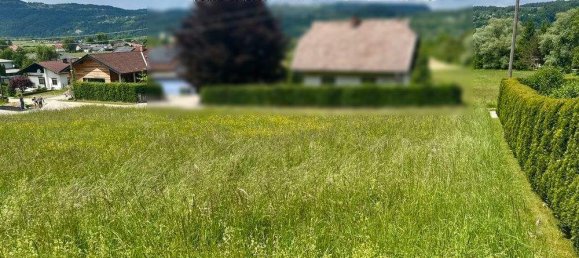 Terrain à Ferlach, Austria No. 162259 2