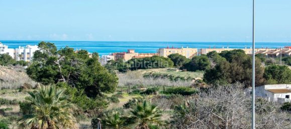 3 chambres Maison à Guardamar del Segura, Spain No. 31017 25