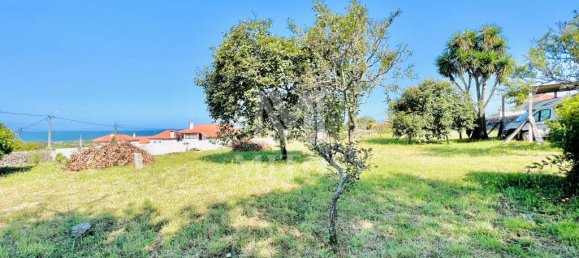 3788m² Land in Viana do Castelo, Portugal No. 77959 10