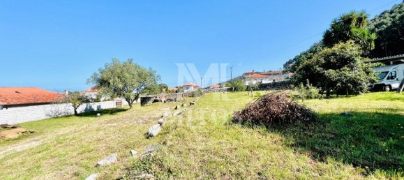 3788m² Land in Viana do Castelo, Portugal No. 77959 3