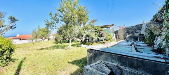 3788m² Land in Viana do Castelo, Portugal No. 77959 14