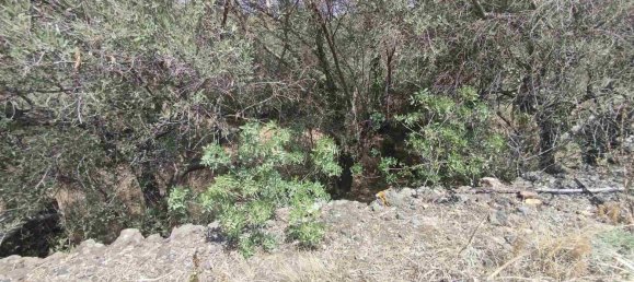 2800m² Land in Misterbianco, Italy No. 51229 9