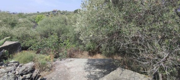 2800m² Land in Misterbianco, Italy No. 51229 12