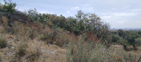 2800m² Land in Misterbianco, Italy No. 51229 29