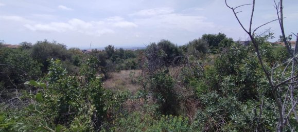 2800m² Land in Misterbianco, Italy No. 51229 17