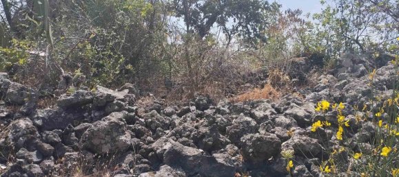 2800m² Land in Misterbianco, Italy No. 51229 20