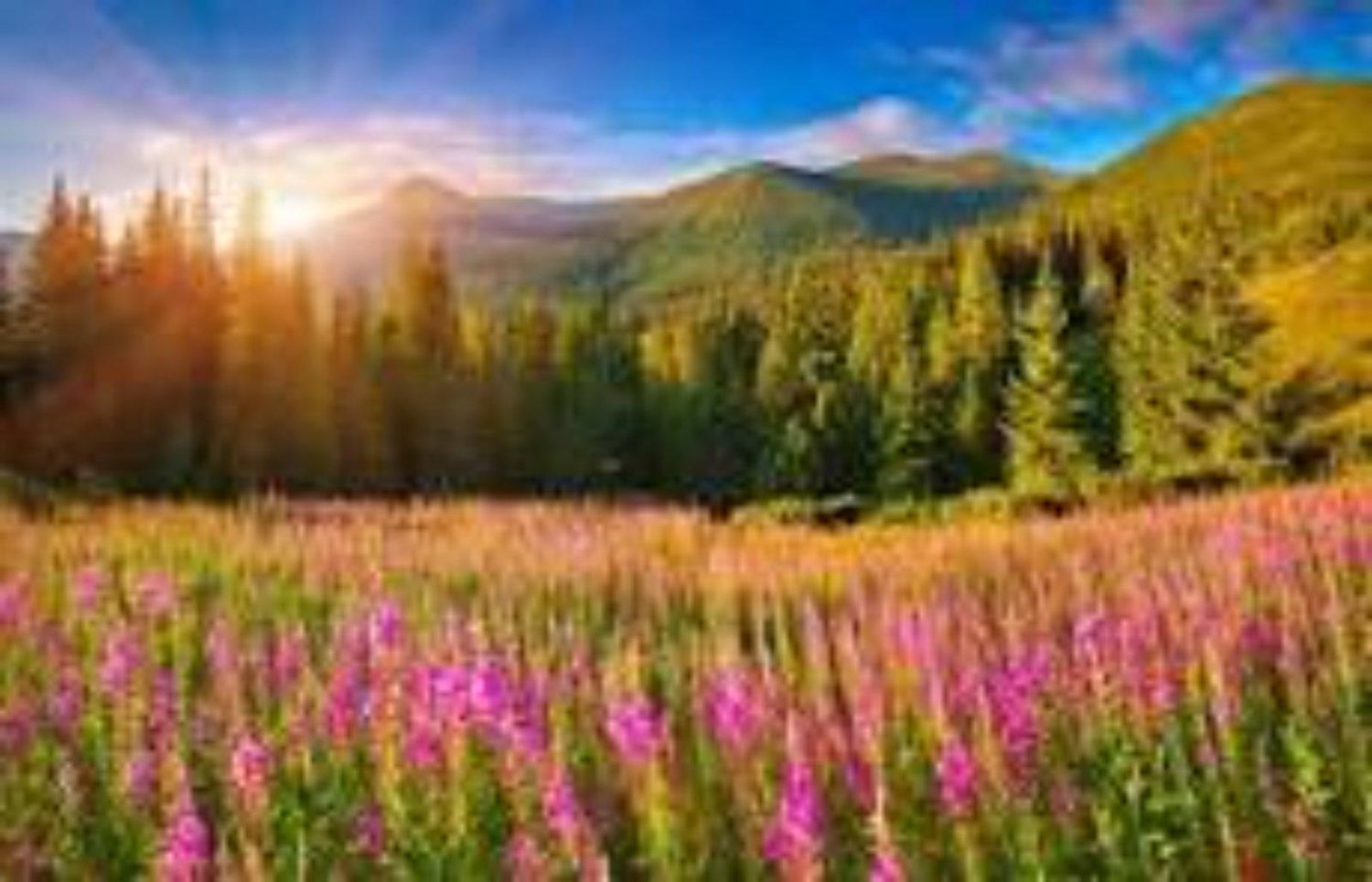 4 chambres Villa à Unterallgau, Germany No. 293207