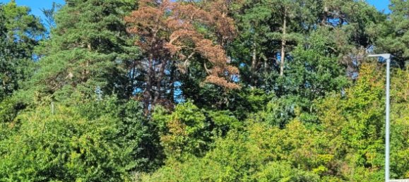 2 chambres Villa à Boblingen, Germany No. 238531 7