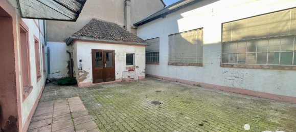 512m² Building in Bischwiller, France No. 61742 4