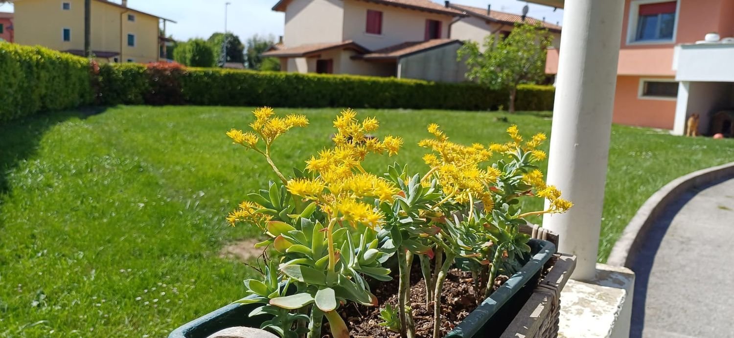 Villa T9 em Pordenone, Italy N.º 377426