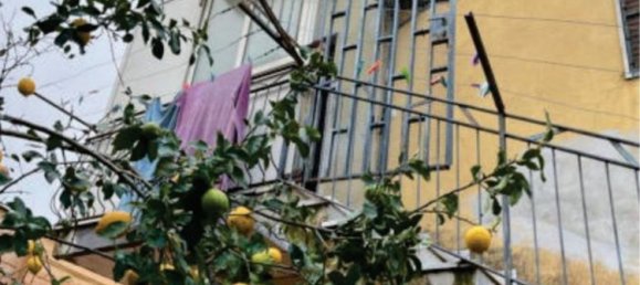 3 rooms Apartment in Naples, Italy No. 224642 33