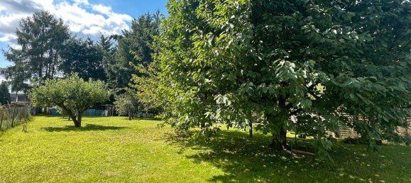 Дом с 5 комнатами в Уккермарк, Германия № 64656 6