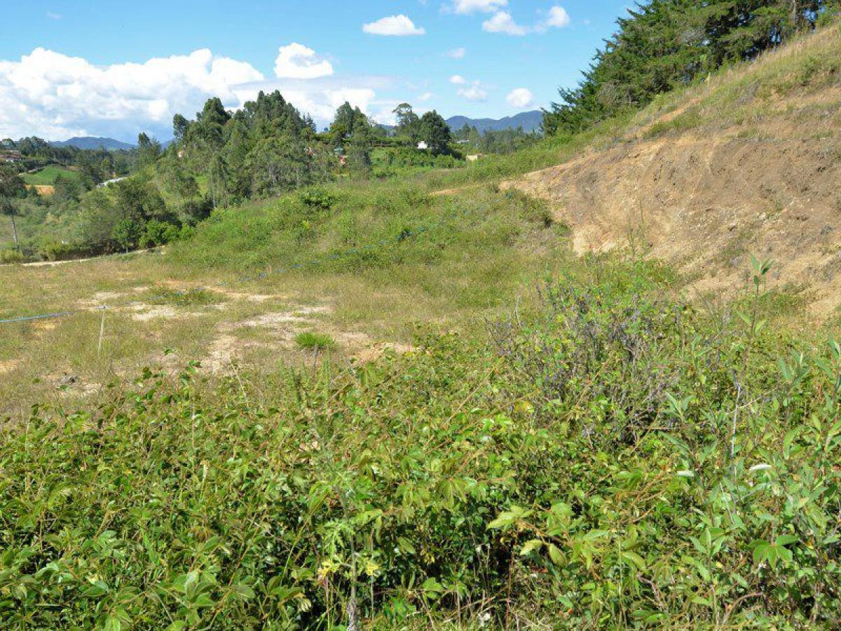 Terreno en Antioquia, Colombia No. 310
