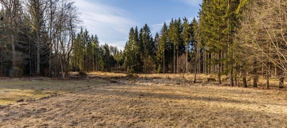 Grundstück in Schrems, Austria, Nr. 168224 3