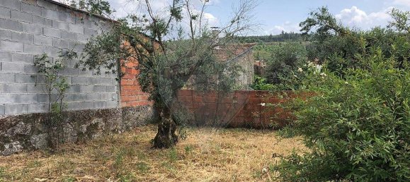 3 غرف نوم منزل في Tabua, Portugal رقم 34479 9