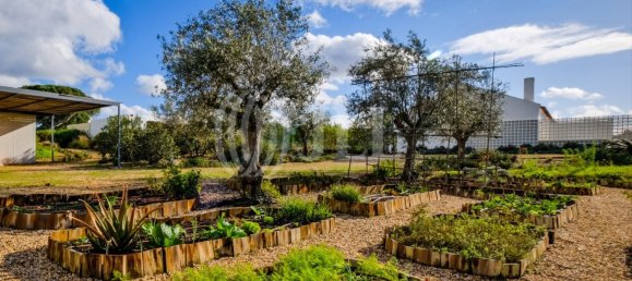 5 Schlafzimmer Villa in Grandola, Portugal, Nr. 122703 38