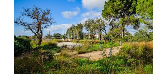 5 Schlafzimmer Villa in Grandola, Portugal, Nr. 122703 25