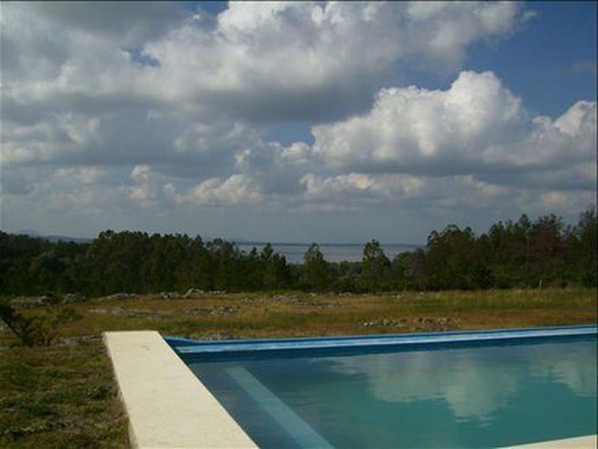  Farm in Maldonado, Uruguay No. 15625