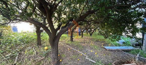 Casa de 3 divisões em Catanzaro, Italy N.º 86925 31