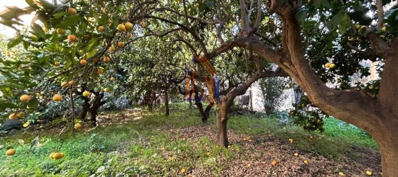 Casa de 3 divisões em Catanzaro, Italy N.º 86925 28