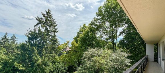 Villa de 7 habitaciónes en Maria Enzersdorf, Austria No. 255902 11