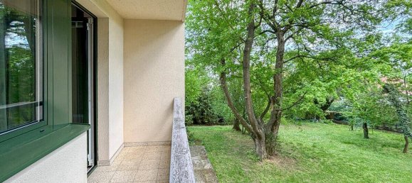 Villa de 7 habitaciónes en Maria Enzersdorf, Austria No. 255902 22