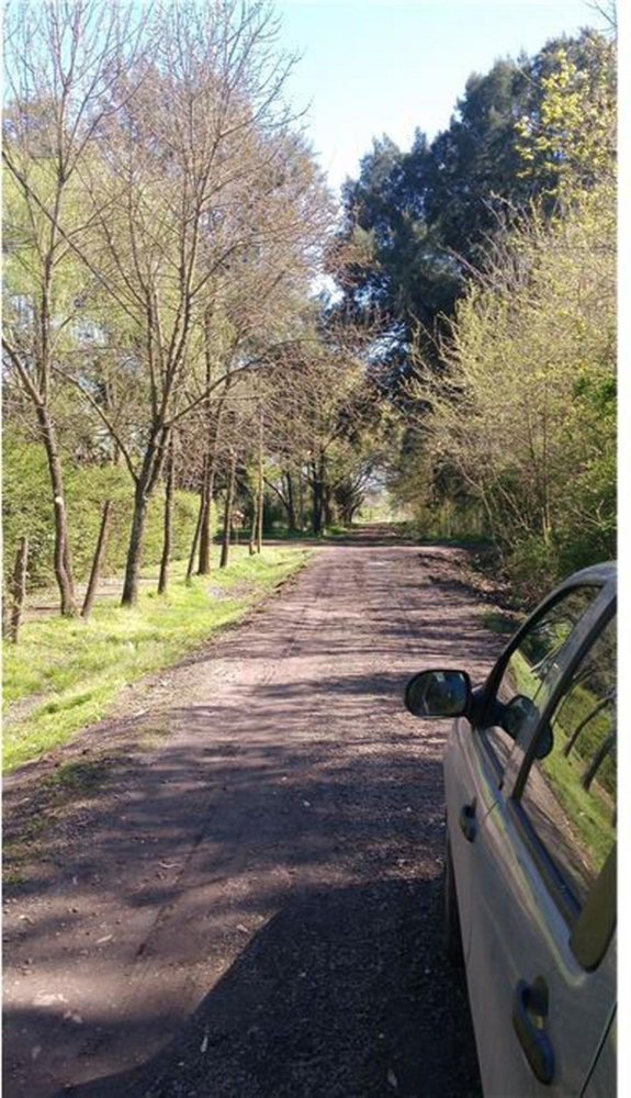Terrain à General Rodriguez, Argentina No. 36853