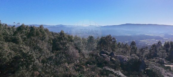 85900m² Land in Barcelos, Portugal No. 38340 9