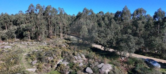 85900m² Land in Barcelos, Portugal No. 38340 7